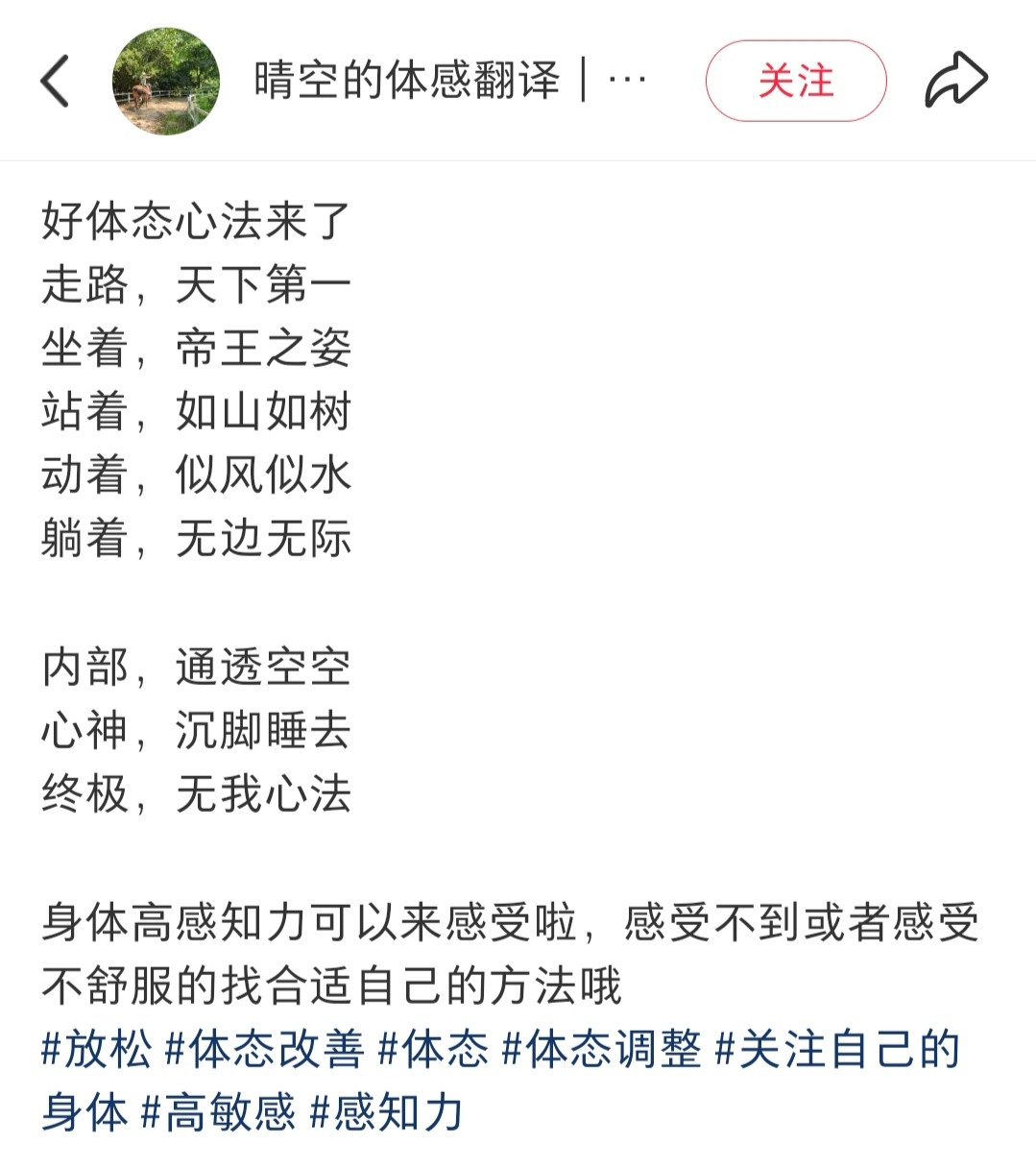 好体态心法来了