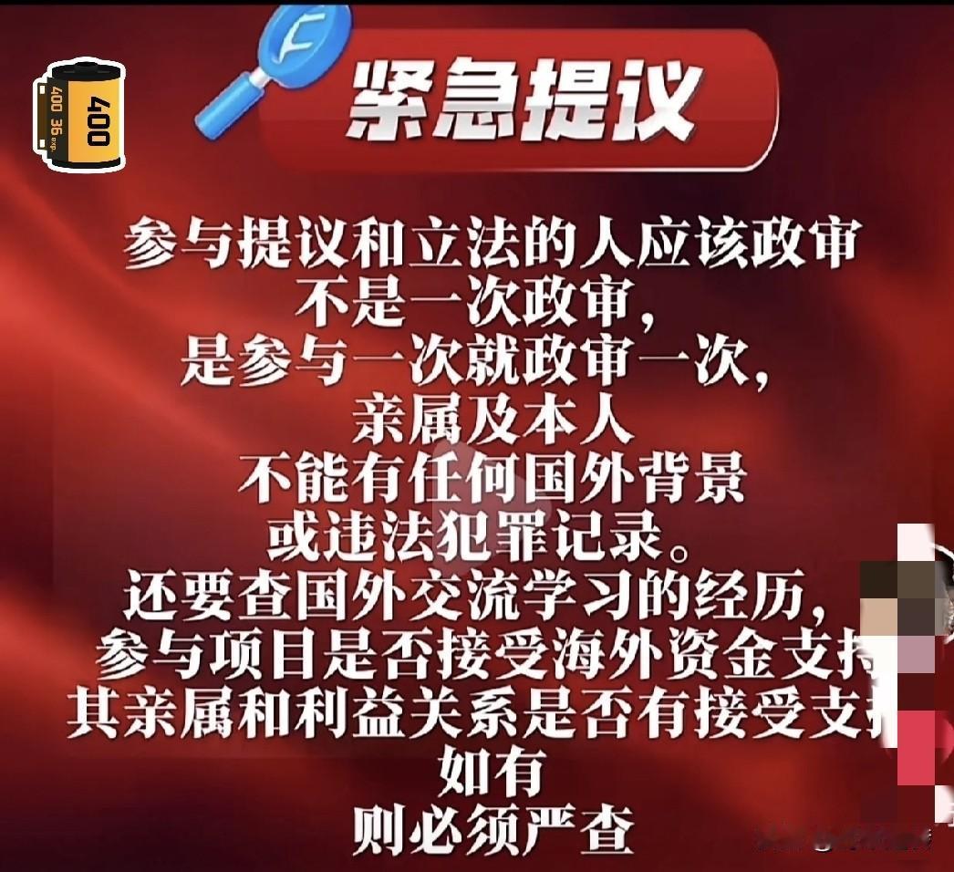 卢麒元认为政策间谍的多，他认为如果提案者没有我国的国籍或没有亲属在我国！那他提出