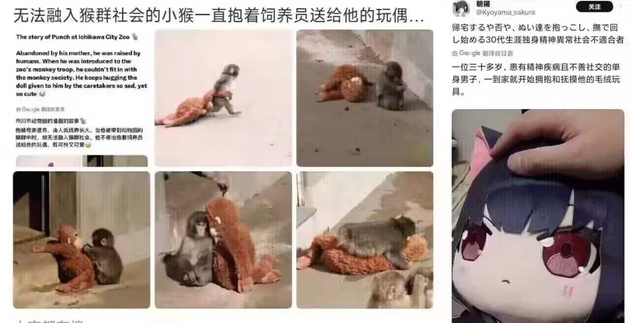 别骂了别骂了😭