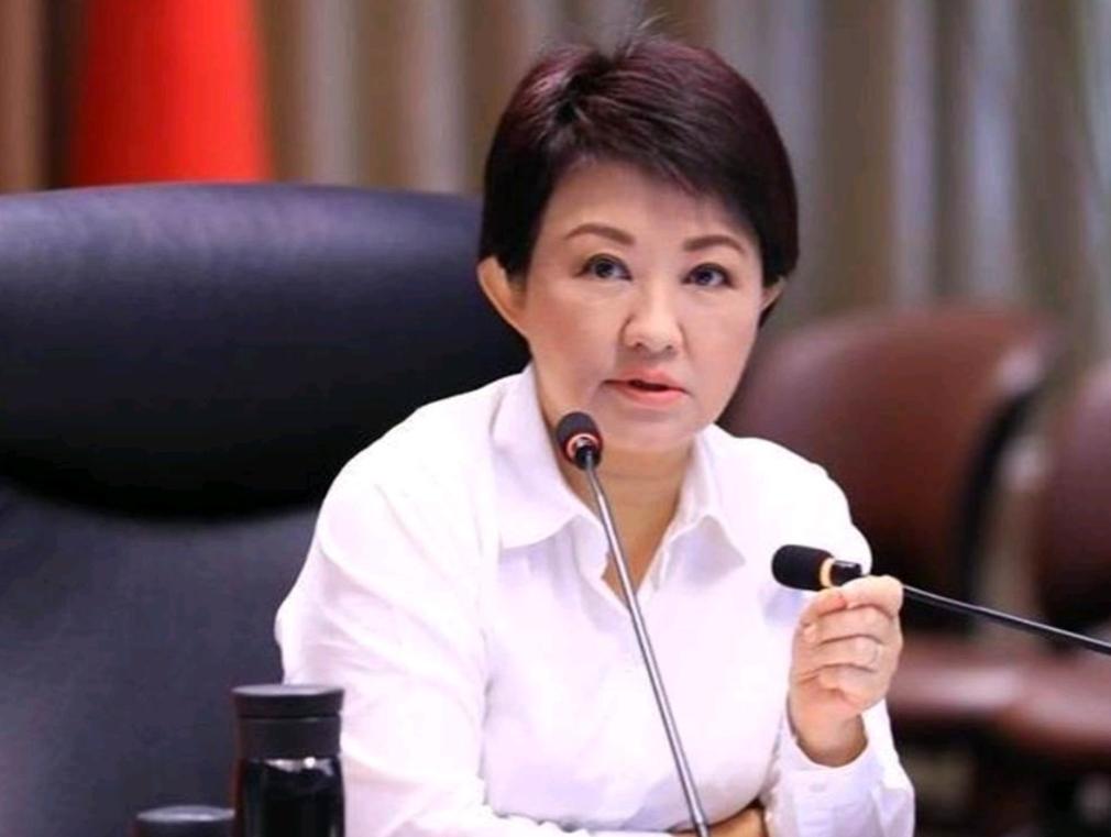 卢秀燕为自己的精明付出了代价！ 卢秀燕怎么都没有想到，如今的郑丽文硬是实现了