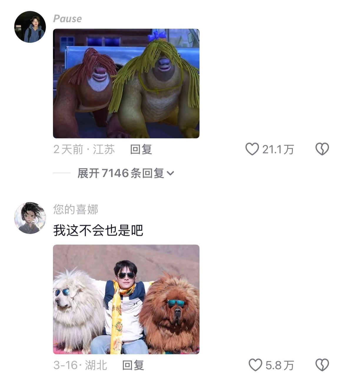 《当我夸大简历但仍得到了这份工作》评论区疑似拉布拉多受害者联盟哈哈哈哈哈哈哈哈