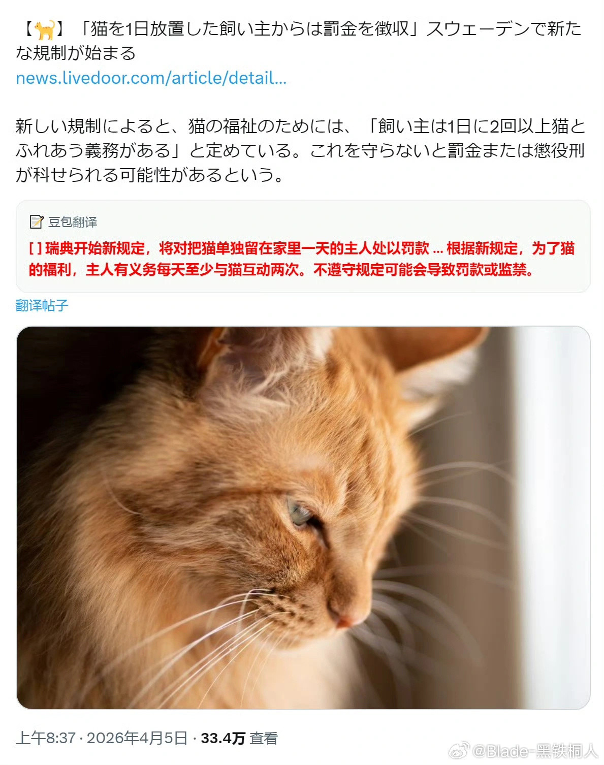 瑞典还是社会保障太到位了，白左每天都可以找点事做