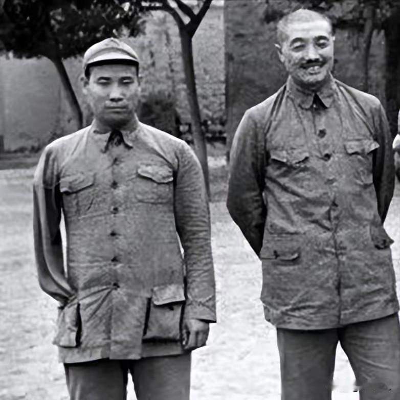 1947年惊天一幕！贺龙见一匹战马瞬间失态：丢一个师，也绝不能丢贺炳炎19