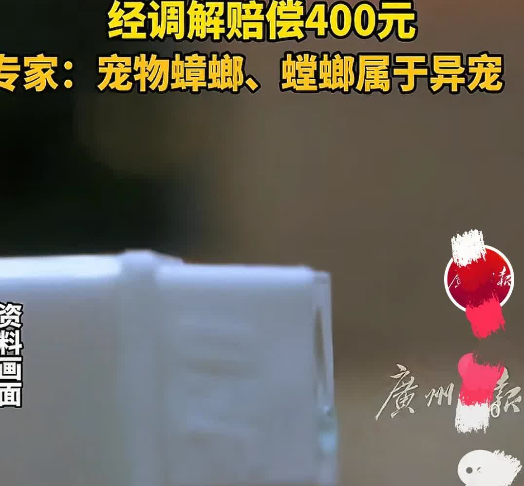 杭州，男子发现家门口有只蟑螂乱跑，直接用杀虫剂把蟑螂喷死，邻居找上门要求男子赔钱