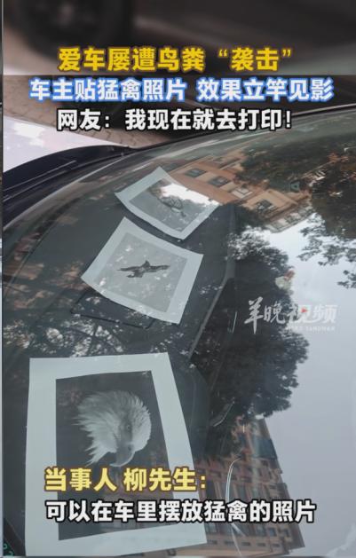 安徽合肥，男子平时回家都把车停在室外车位上，不过让他困扰的是，车位旁边有棵树，每