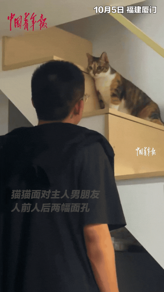 “万万没想到”。福建一女生带男友回家，养了多年的猫咪一见，就在他面前撒娇卖萌，一
