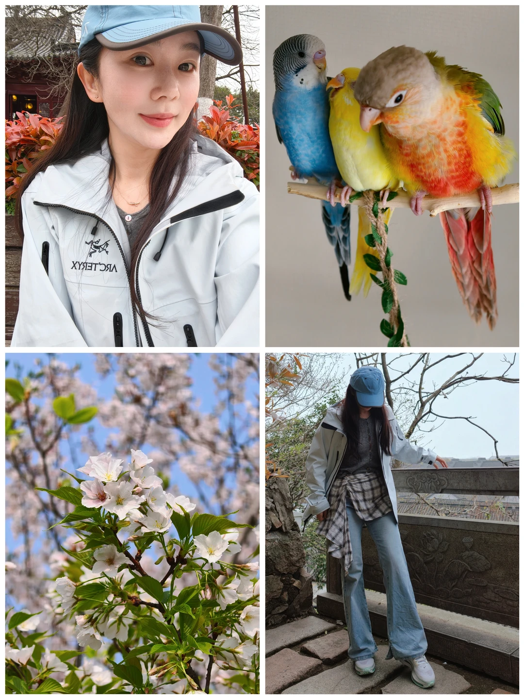 中年女人三件套