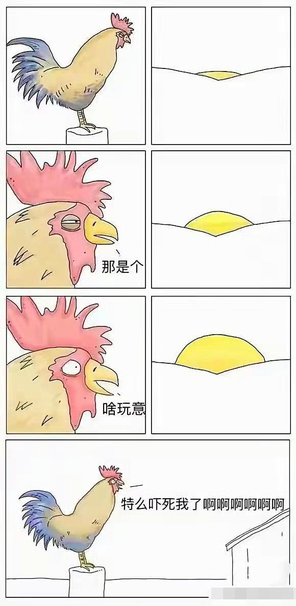 一张很有意思的图片…￼