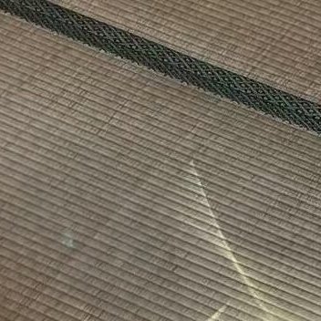 种植／微公益玫瑰种植方法1、根部种植首先需要将鲜花剪下，用酒精消毒，备用。其次