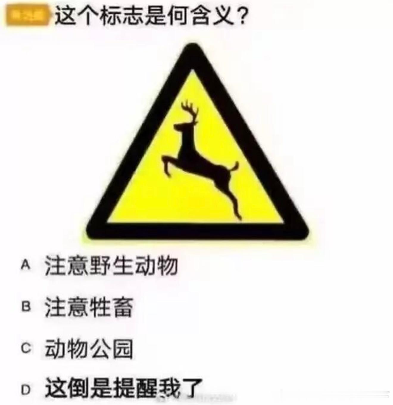 6469这道题呢？