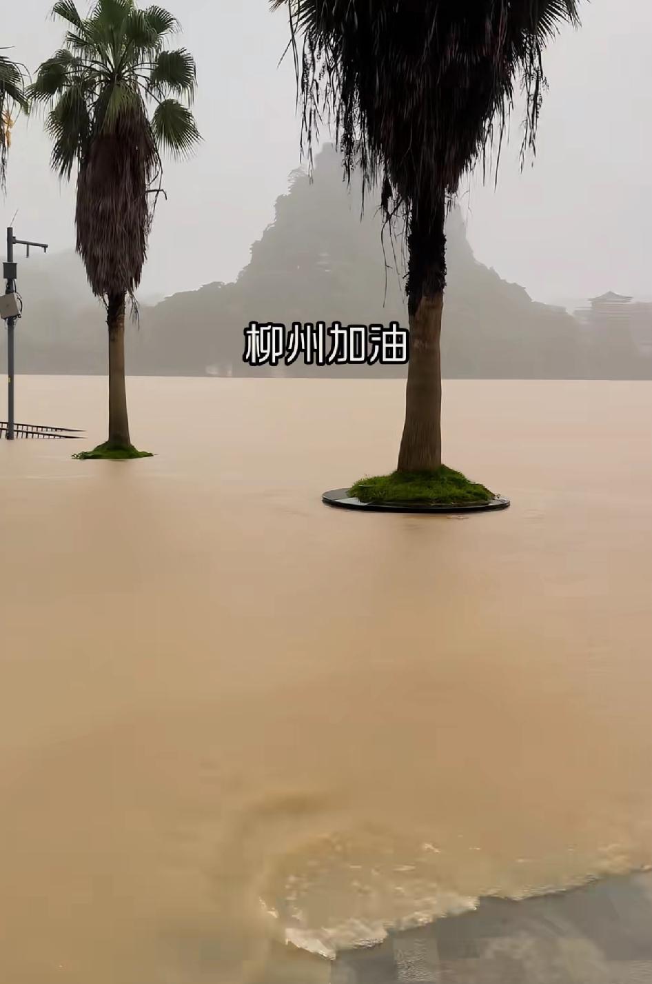 注意啦！柳江河水涨势汹汹，已漫到滨江路亲水平台。5月21日8时，柳江柳州水文站水