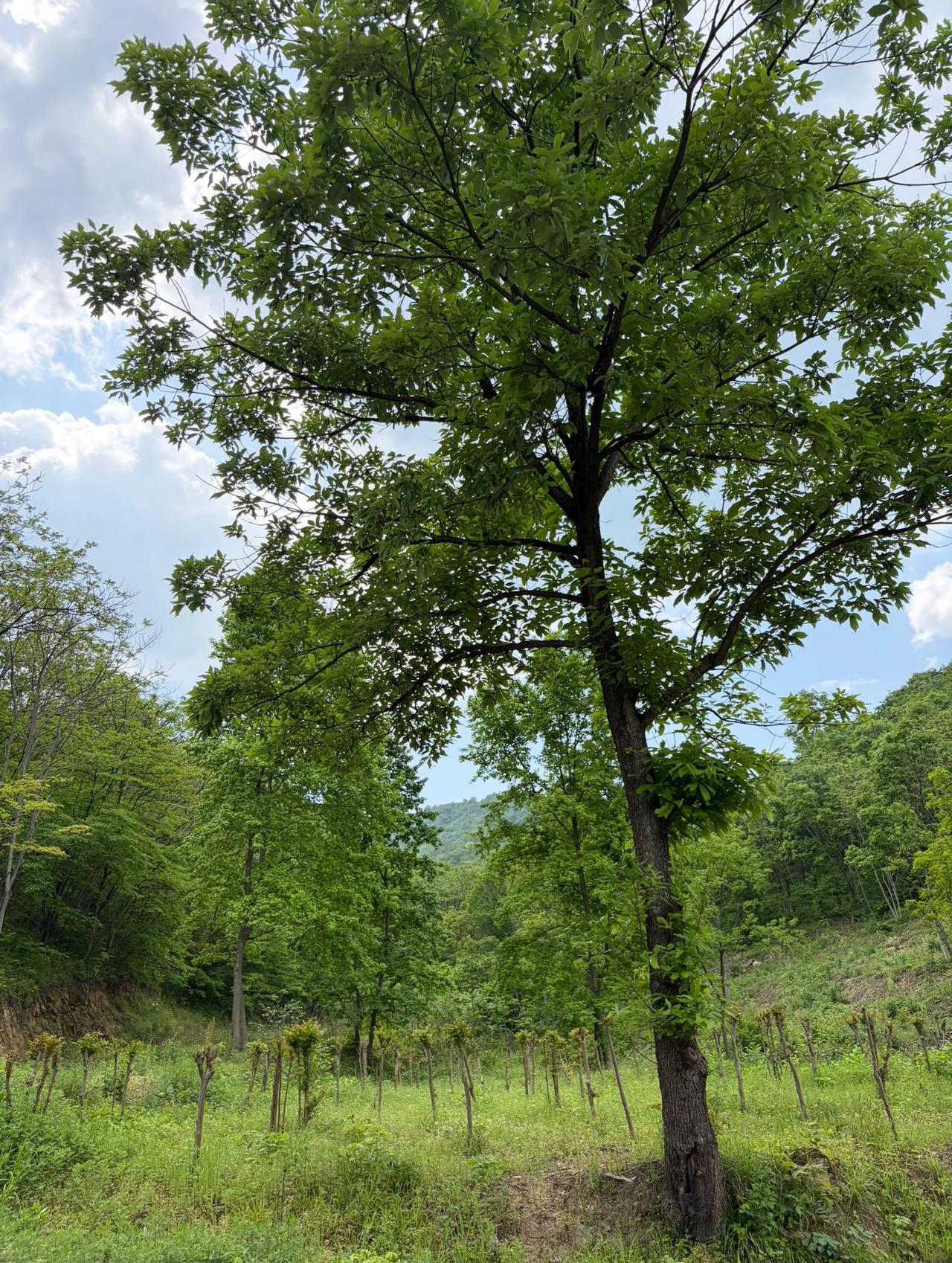 去年谷雨，我是真的没当回事。觉得老一辈说的那些禁忌都是迷信，想脱秋裤就脱，想