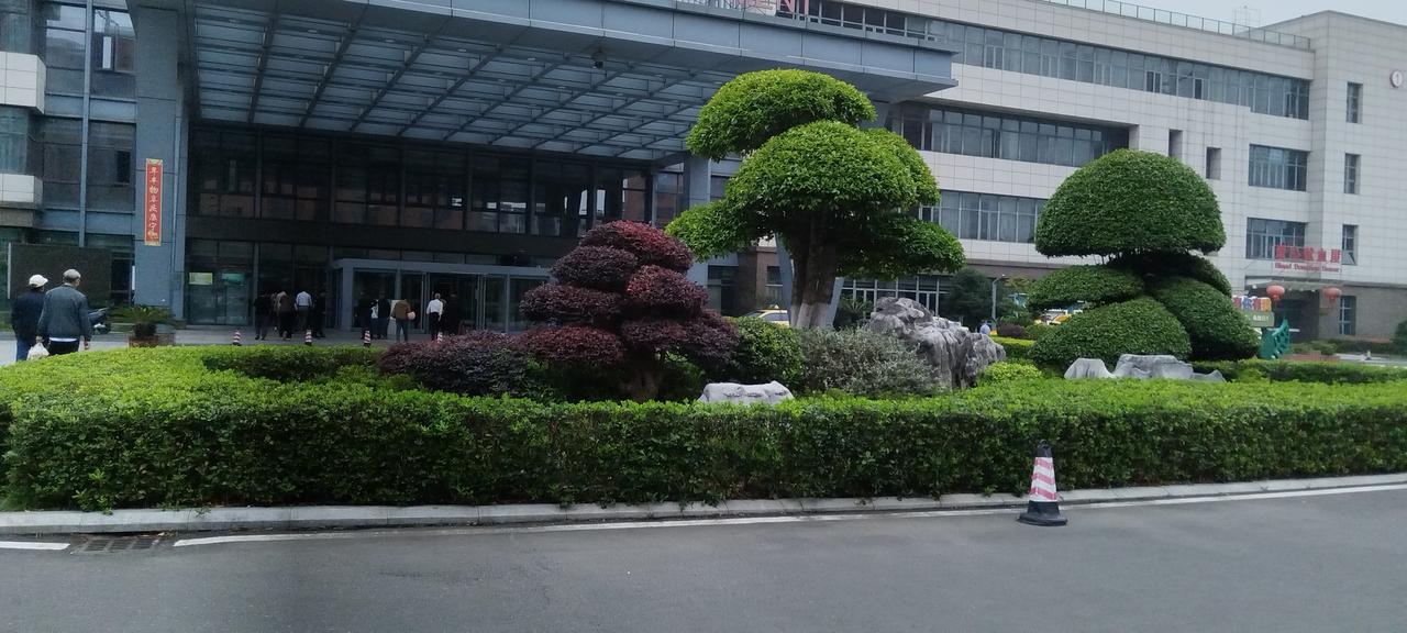 随手拍一张美景