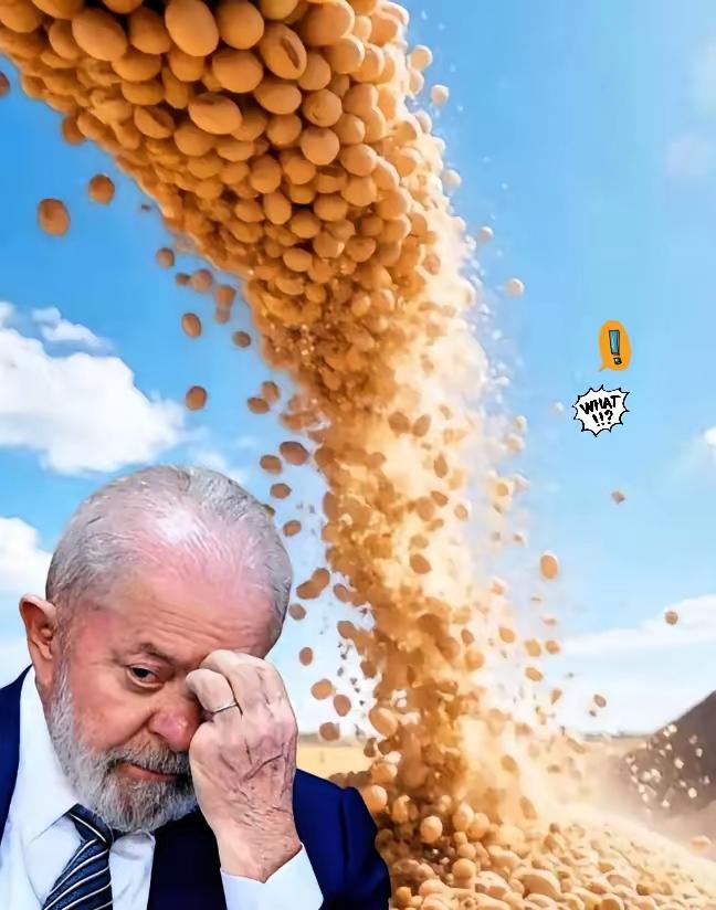 一夜之间，巴西沉默了。巴西大豆价格攀升至650美元/吨，这让巴西大豆商欣喜不已