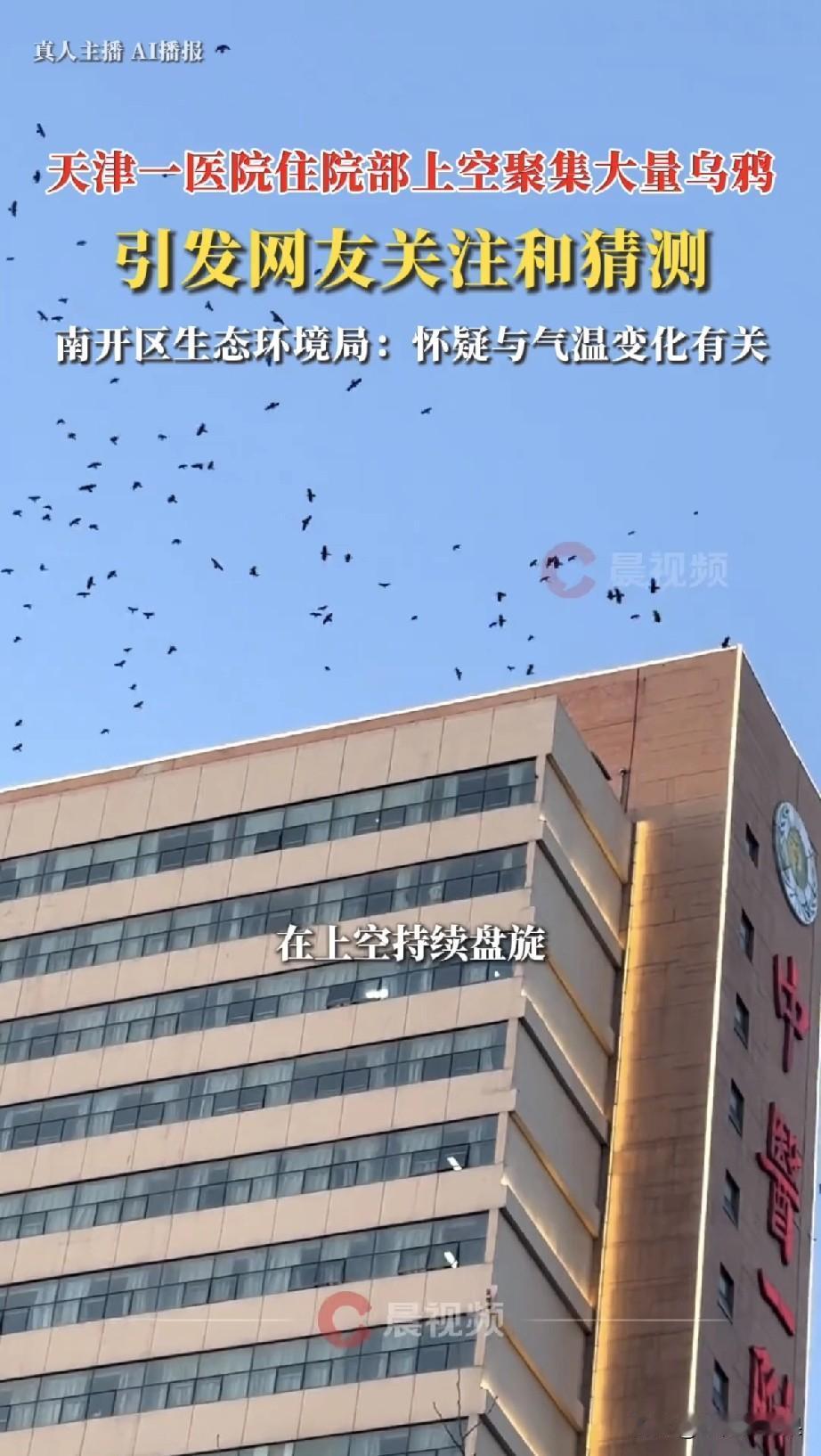 黑压压一片！天津医院楼顶惊现大量乌鸦，真相竟是这样天津中医药大学第一附属医院住