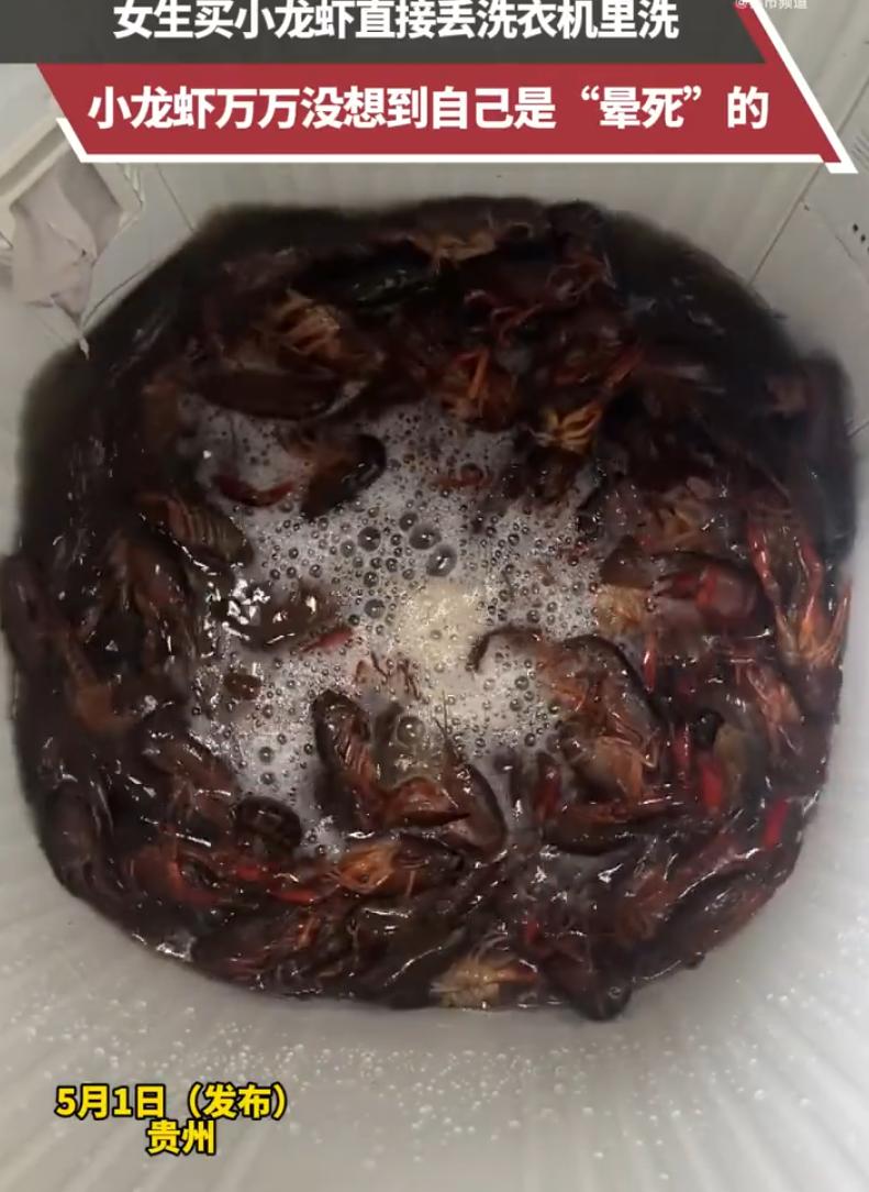 笑不活了！5月1日，贵州一女子为了吃顿小龙虾竟把洗衣机给“逼疯”了。懒得动手刷洗