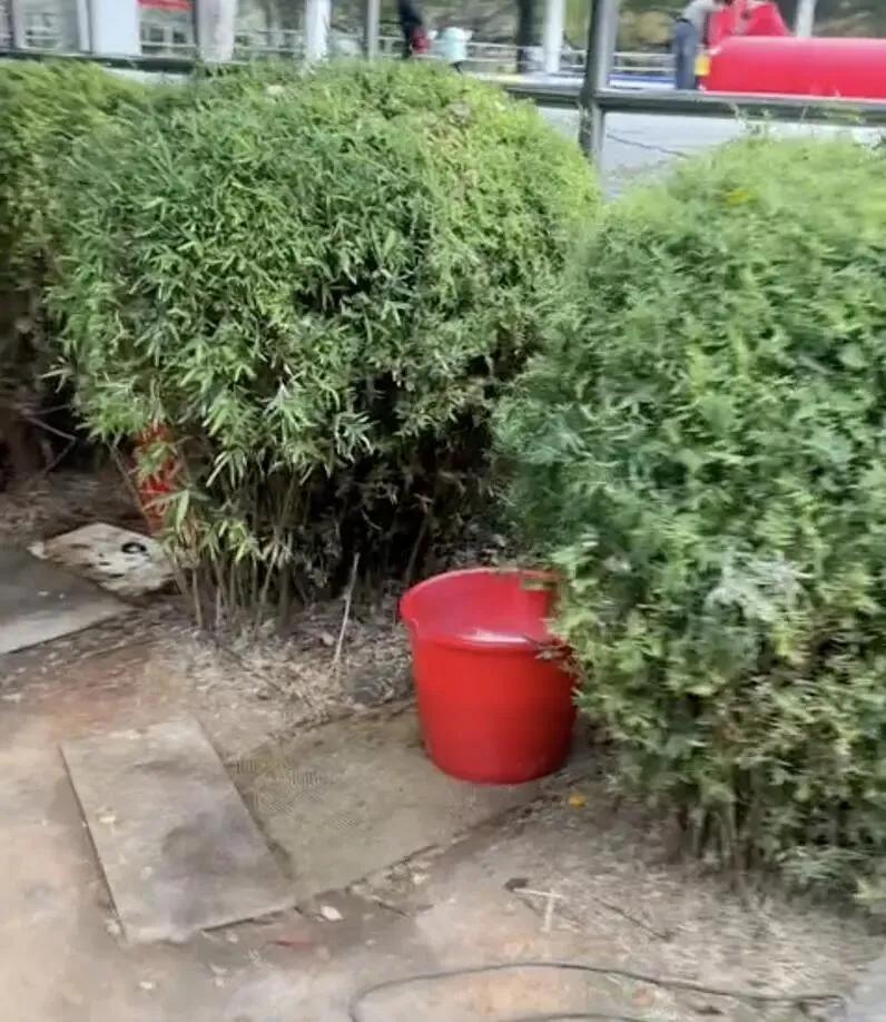 11月5日，网友爆料江西九江武宁县万福广场公园摆3个尿桶供人露天小便，不到100