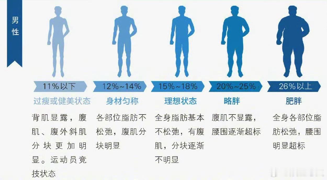 终于明白减重减肥减脂区别减重掉的是秤上数字（水、糖原、肌肉为主），减脂改的是身