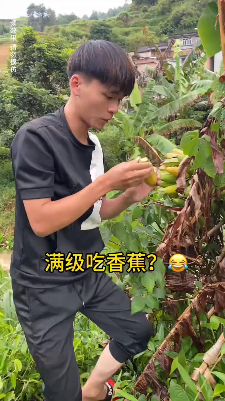 满级吃香蕉？满级吃香蕉？
