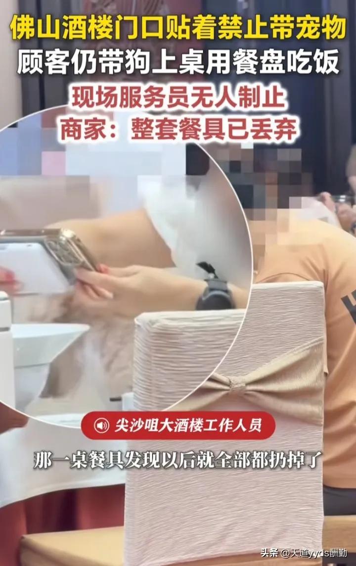 广东佛山。一酒楼有宠物狗上桌，一女子拍下了视频，酒楼联系女子给3倍赔偿让她删除