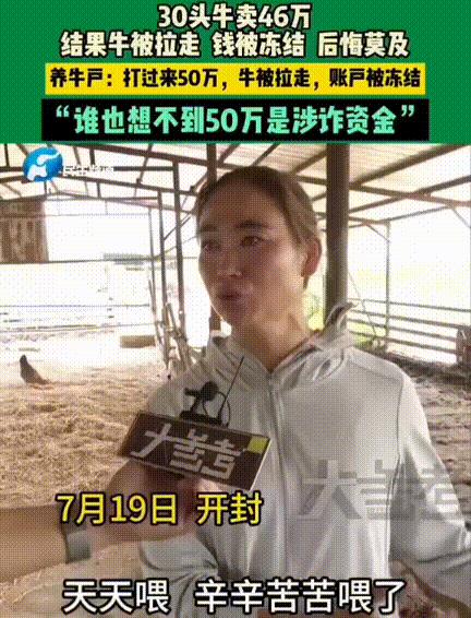 “简直要气不活了！”开封，一养牛户看天气炎热于是把家中的30头牛卖46万，没想到