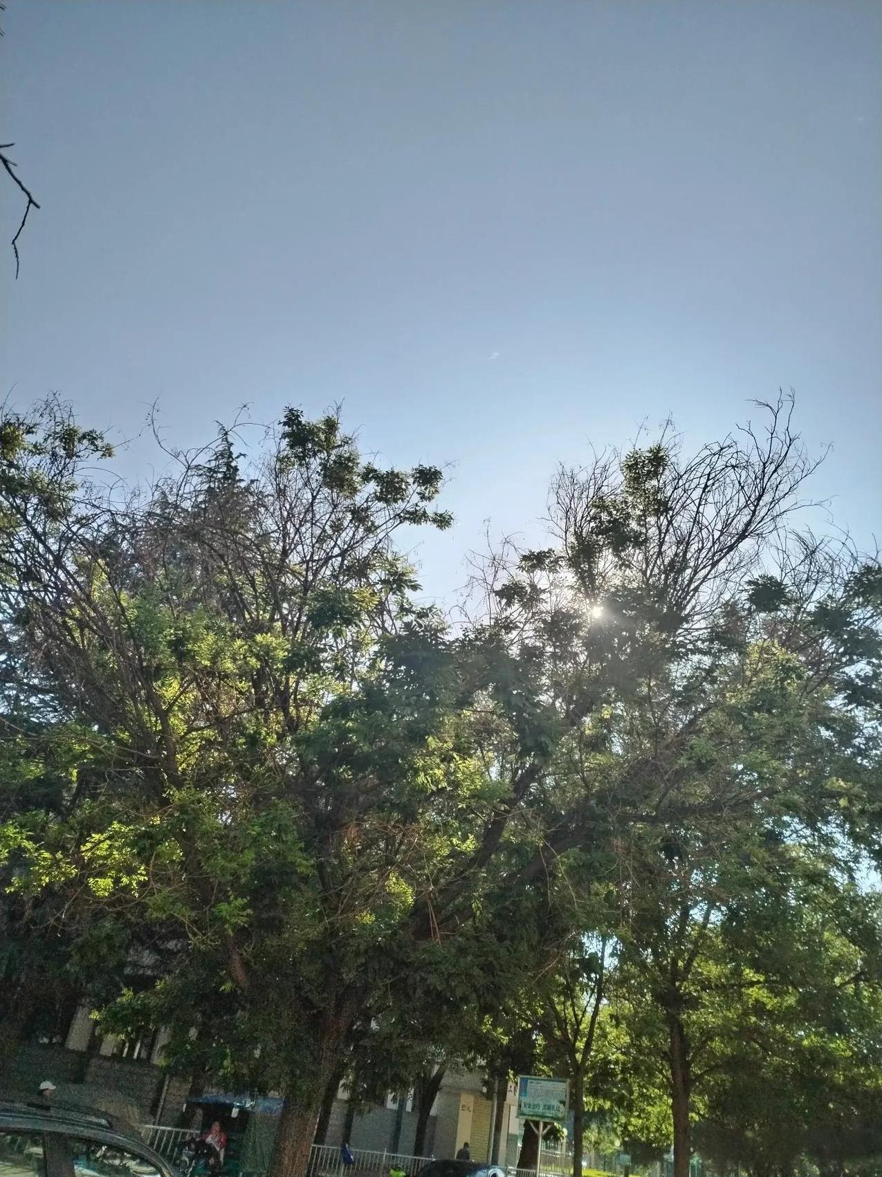 兰州真是避暑的好地方。可是最近两天天气一直维持在35℃，也是挺热的。不过，一位南