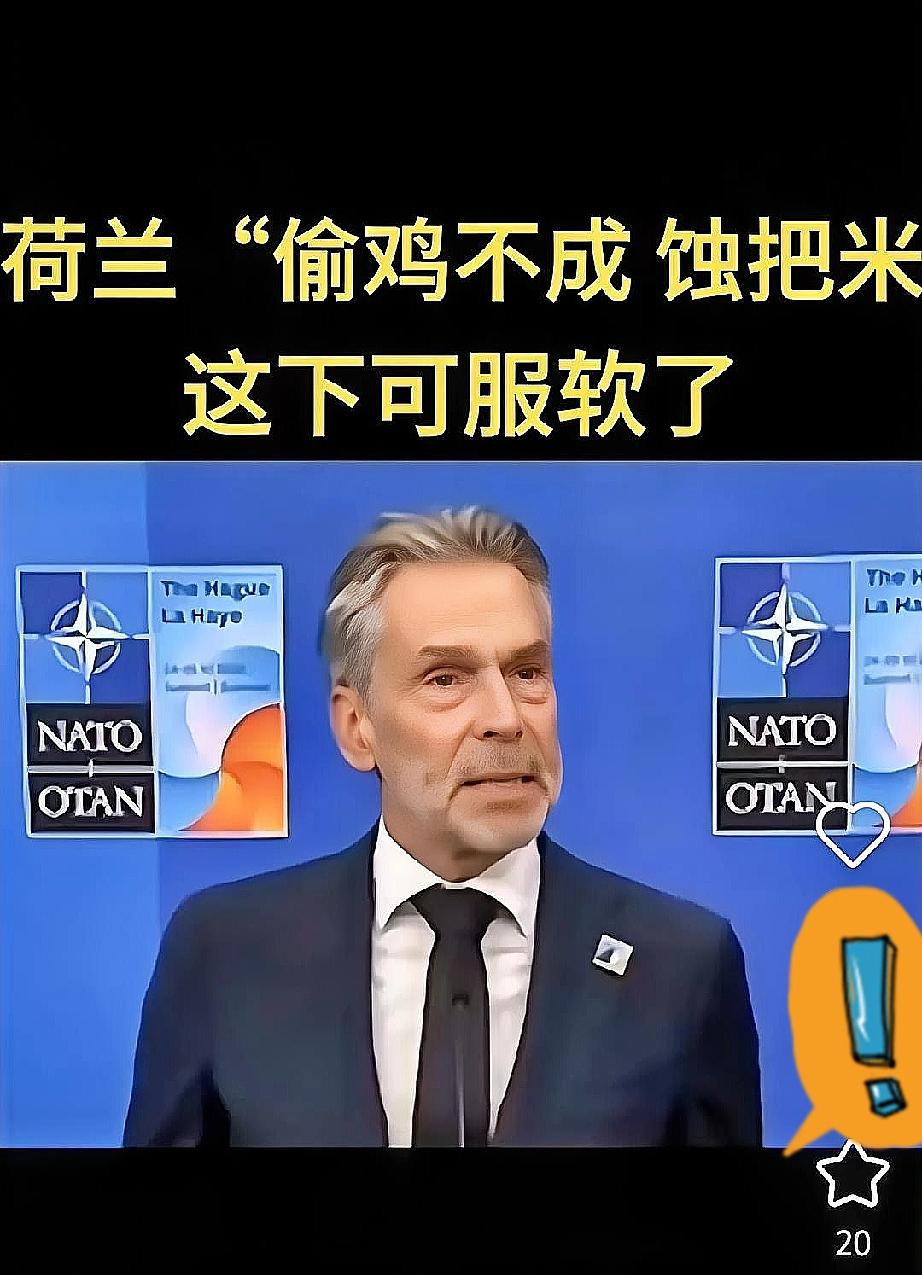 这回荷兰人真是搬起石头砸自己的脚！安世东方大国直接摊牌：以后不用荷兰母公司的