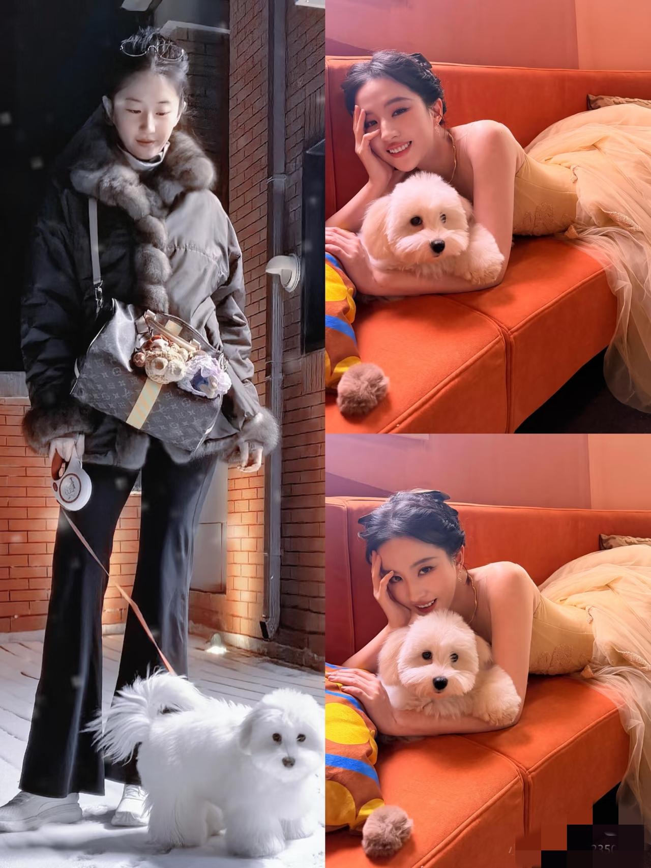 关于刘亦菲，我发现他身上的有一个东西，可能这辈子也无法改变了，那就是她的面相