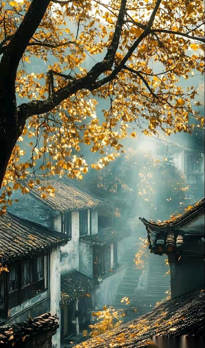 一个寡妇，靠教唆三个儿子先搞大女孩的肚子，硬生生把三笔彩礼砍到了底。够缺德吧？