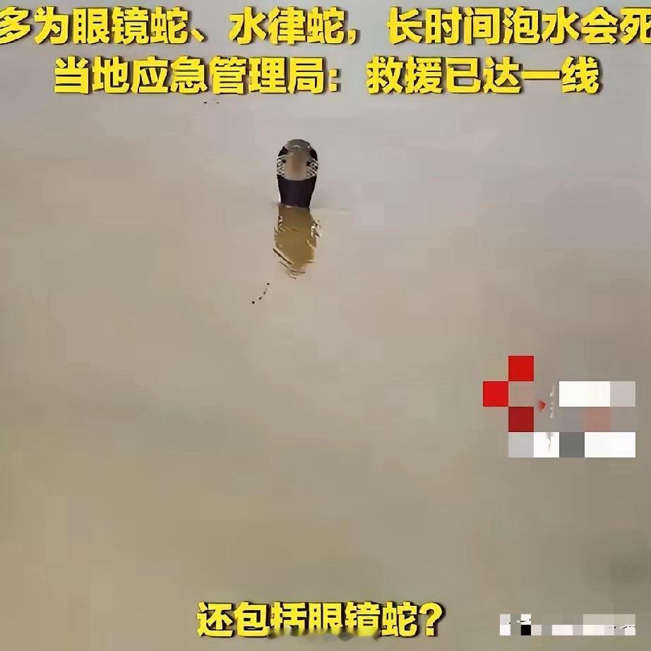 广西蛇企发声天灾人祸呀，看到好多人骂广西养蛇场，说洪水来了蛇跑出来咬人，全是养蛇