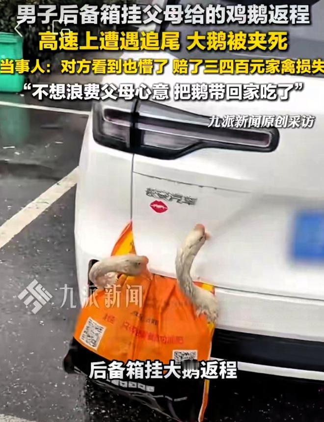 “太惋惜了！”湖北襄阳，一男子开车返程上班，后备箱外挂着父母准备的鸡和鹅，不料途