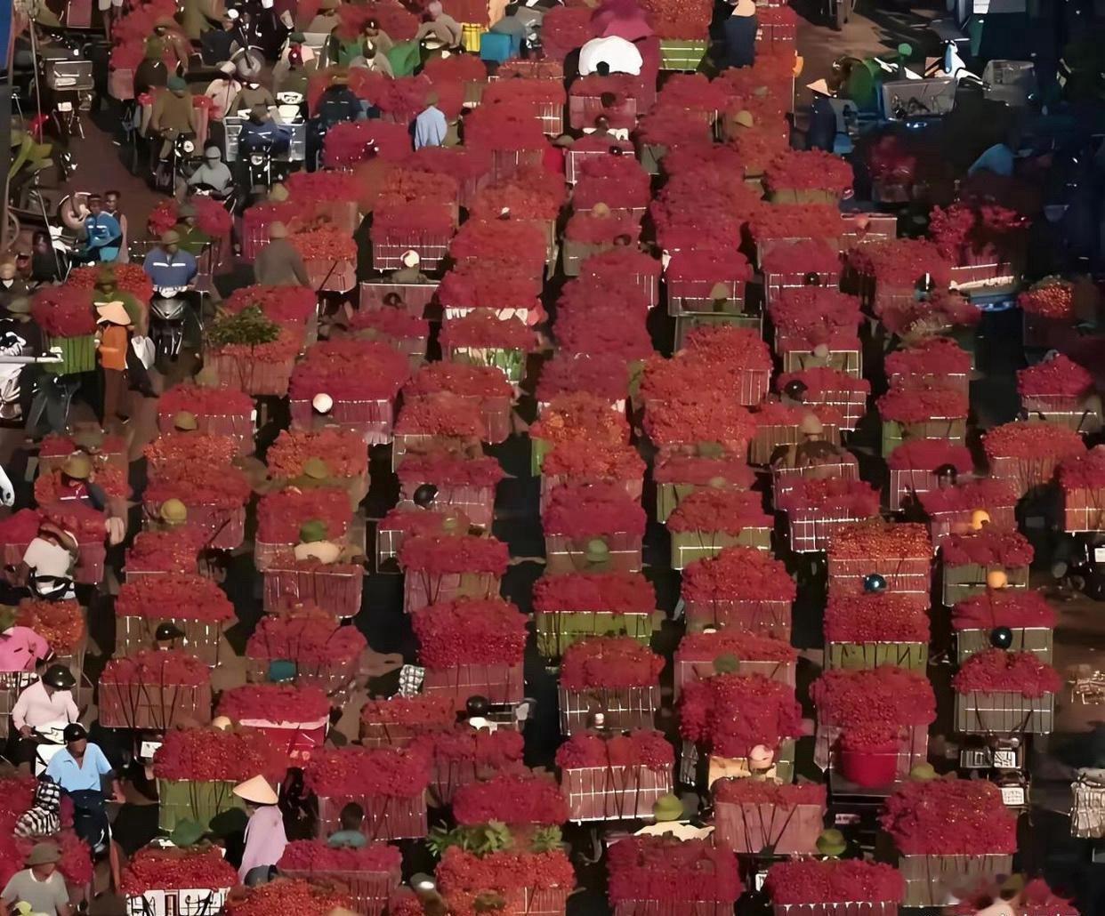 都要烂大街了，为什么还不降价？