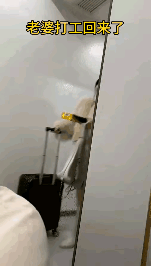 丈夫盼星星、盼月亮，就盼着媳妇在外打工能早点回家，可是终于把媳妇盼回来了，却突然