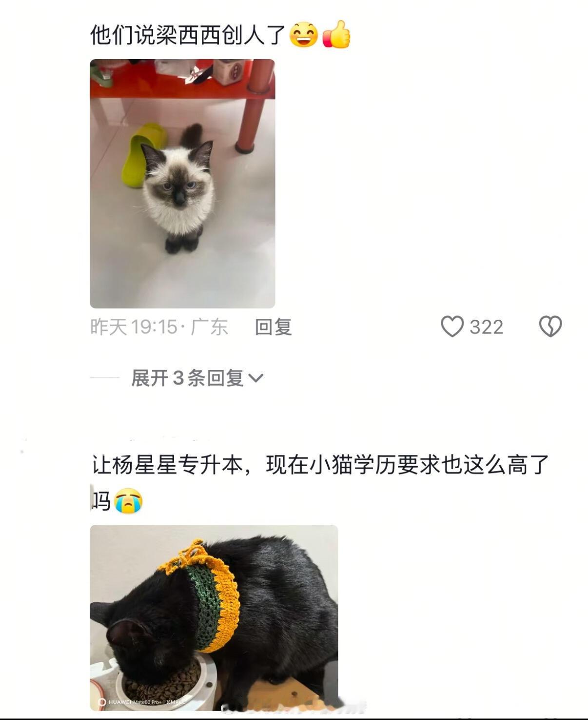 论诈骗电话能有多离谱