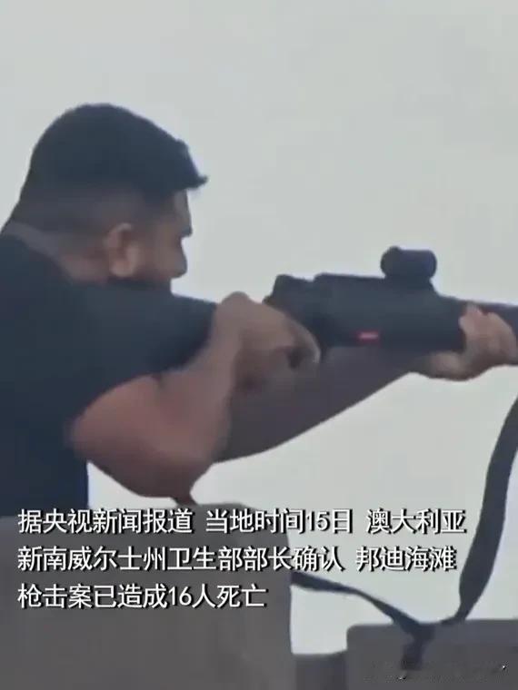 澳大利亚的父子枪手，针对的是犹太人。一开始还纳闷，这对父子怎么能够从那么多人中，