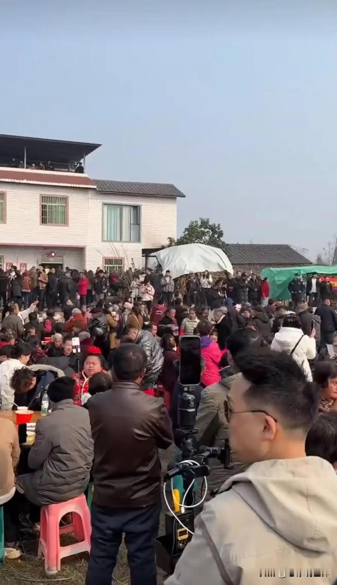 这年头，真是魔性啊！一个小丫头网上发个帖子说杀年猪，一下子惊动了成千上万的人来赶