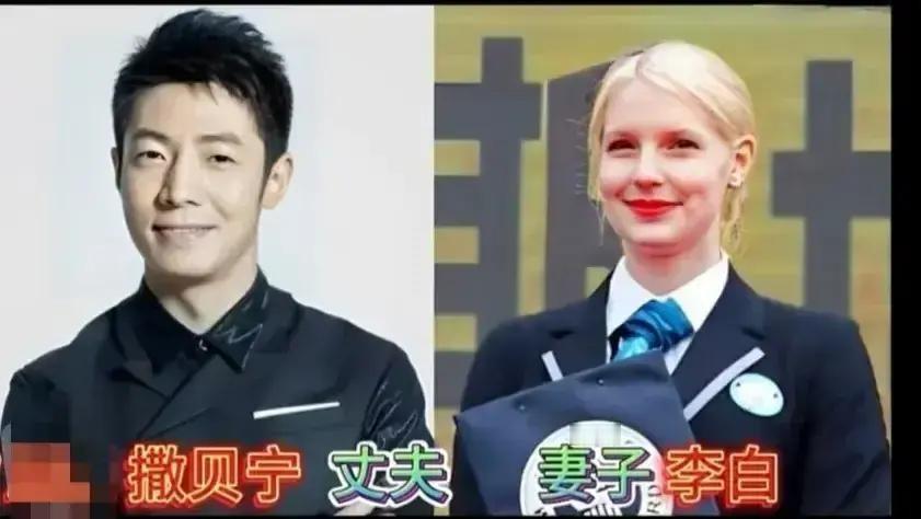 刷到一篇帖子把撒贝宁、王宁、金龟子他们的婚姻全扒了一遍，标题还写得像惊天大瓜。