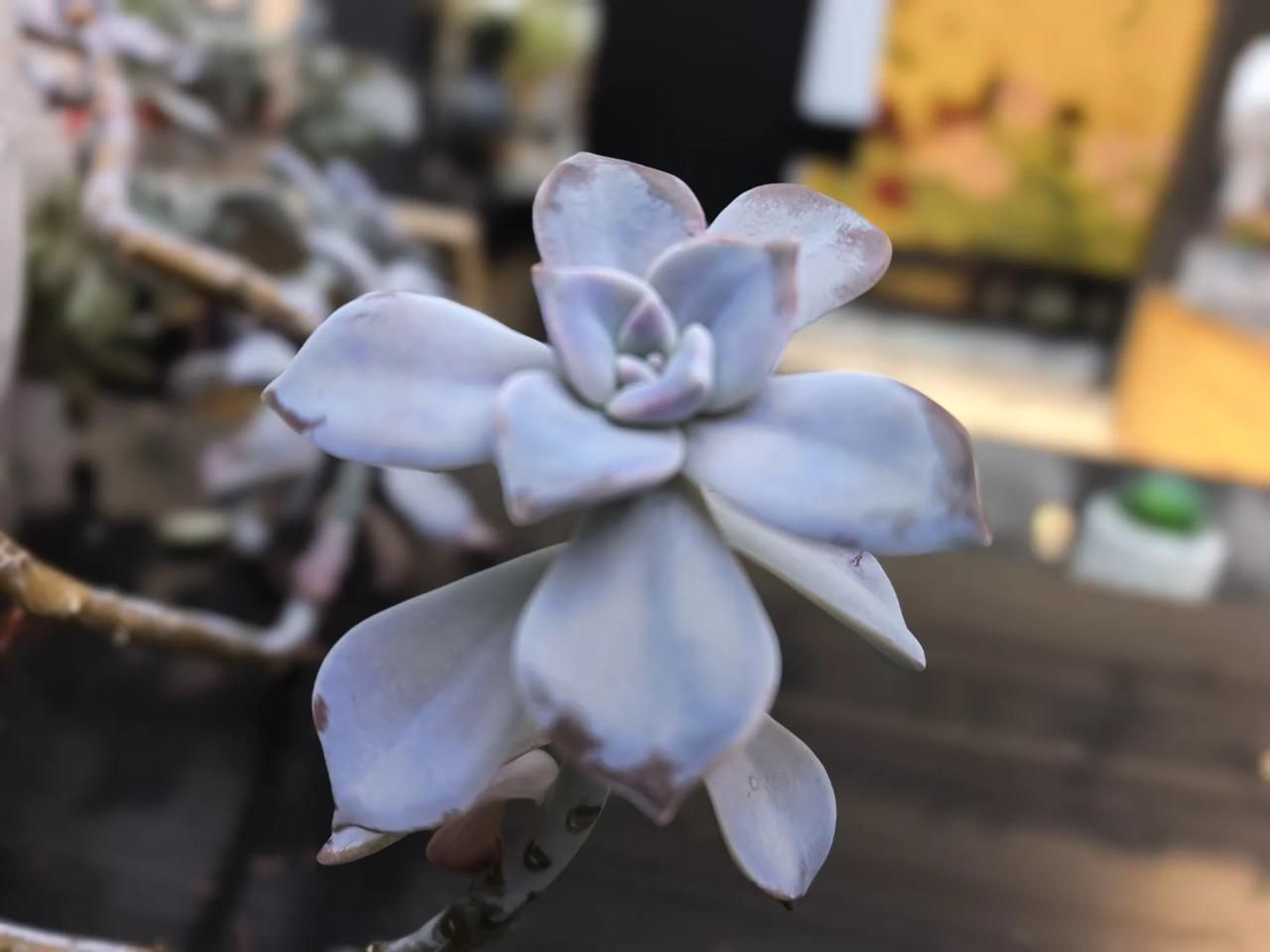 人到晚年，才懂得养老最大的底气是存款最近看到同学夫妻俩双双病倒的经历，突然觉