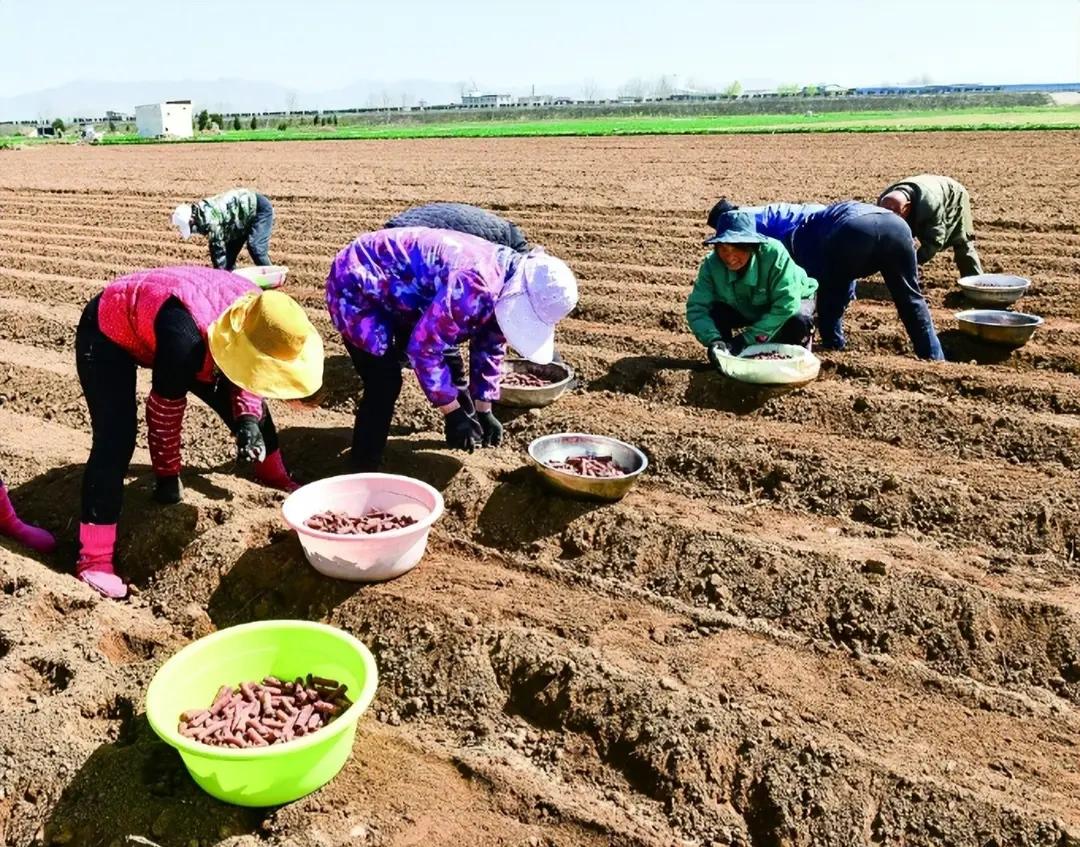 破局时刻！牺牲式发展的魔咒，被这群人用“三把钥匙”捅穿了当深圳