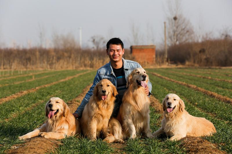 万万没想到啊！浙江一男子感冒卧床休息，家里狗狗一趟趟进房间，本以为它是关心主人，