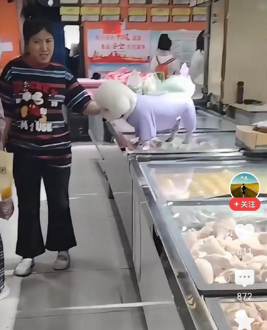 当一条狗堂而皇之的站到冰柜上面的时候，这个社会的道德其实已经荡然无存了，只不过还