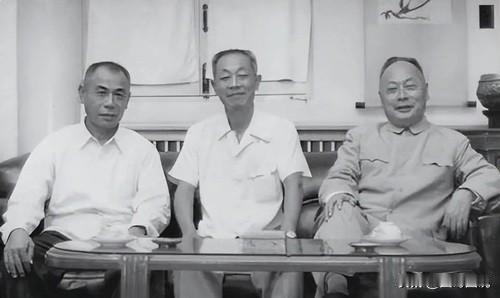 他是陈毅元帅的嫡亲堂兄，民国时高级兵工专家、国民党中将，老蒋曾令他策反陈毅，结果