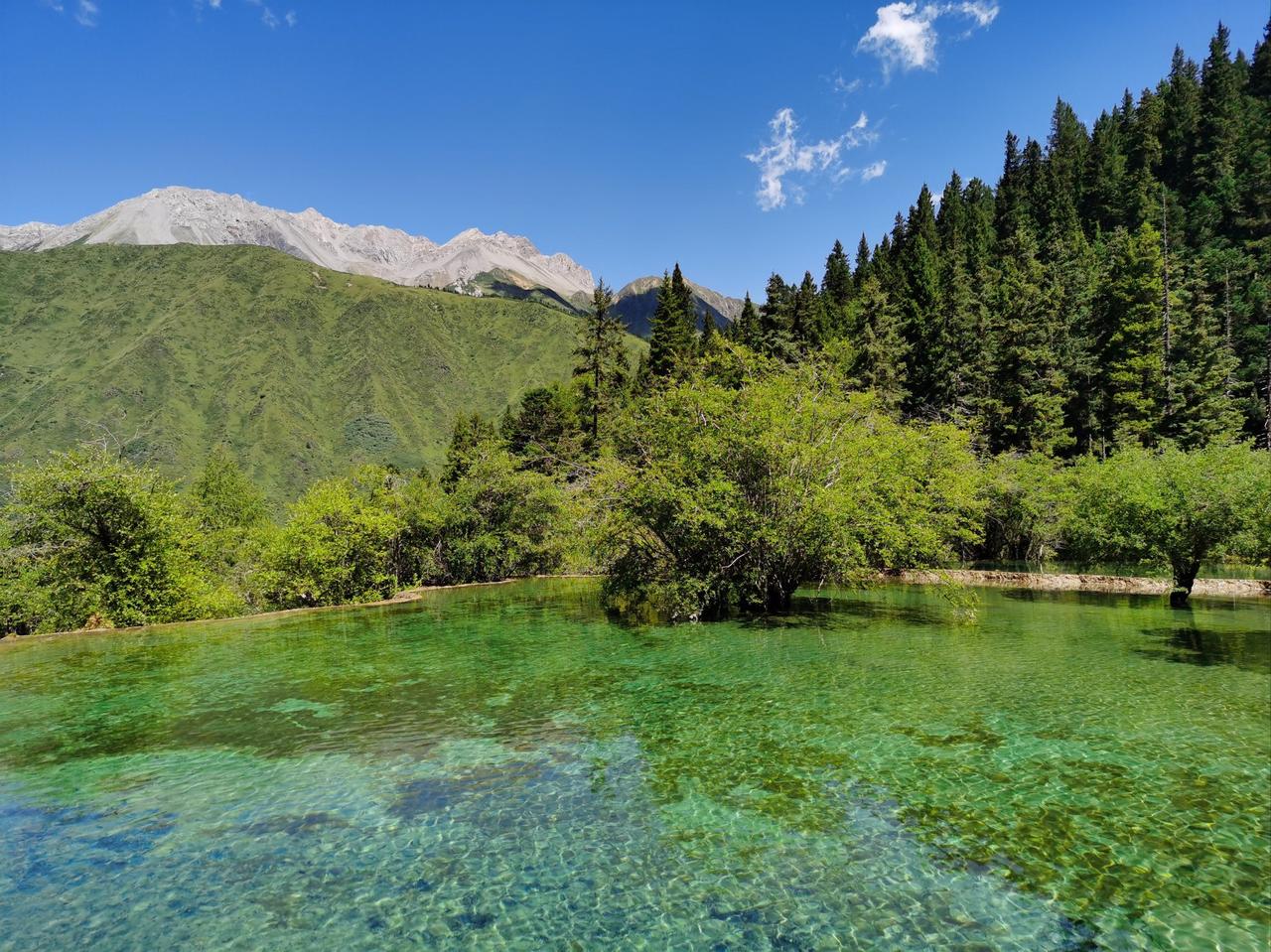 人到了晚年，最大的清醒，是别把搭伴过日子，当成纯粹的情分，忘了现实的底色