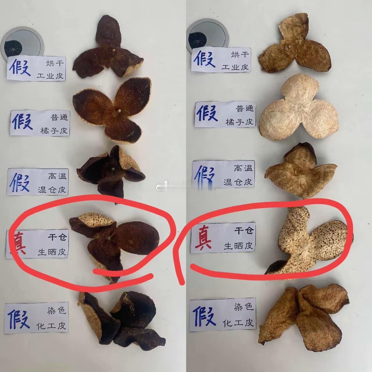 央视曝光！70元本“新会老陈皮”，能卖到千元。老百姓:国家地理标志都能付费租用？