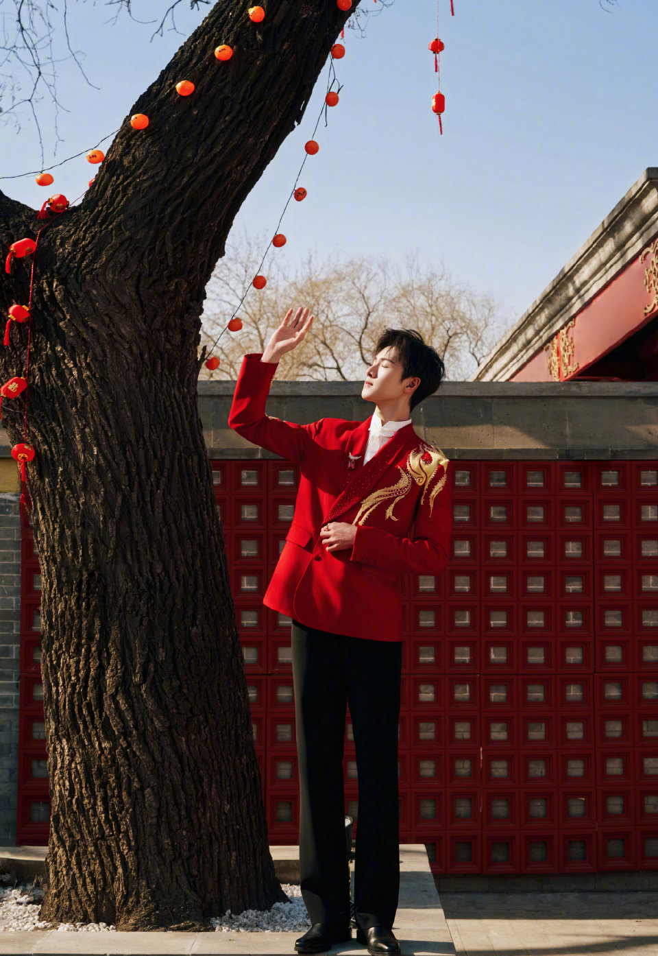 品牌大使李昀锐佩戴Tiffany珠宝&石上鸟胸针亮相春晚，红装配高珠清爽高级💎