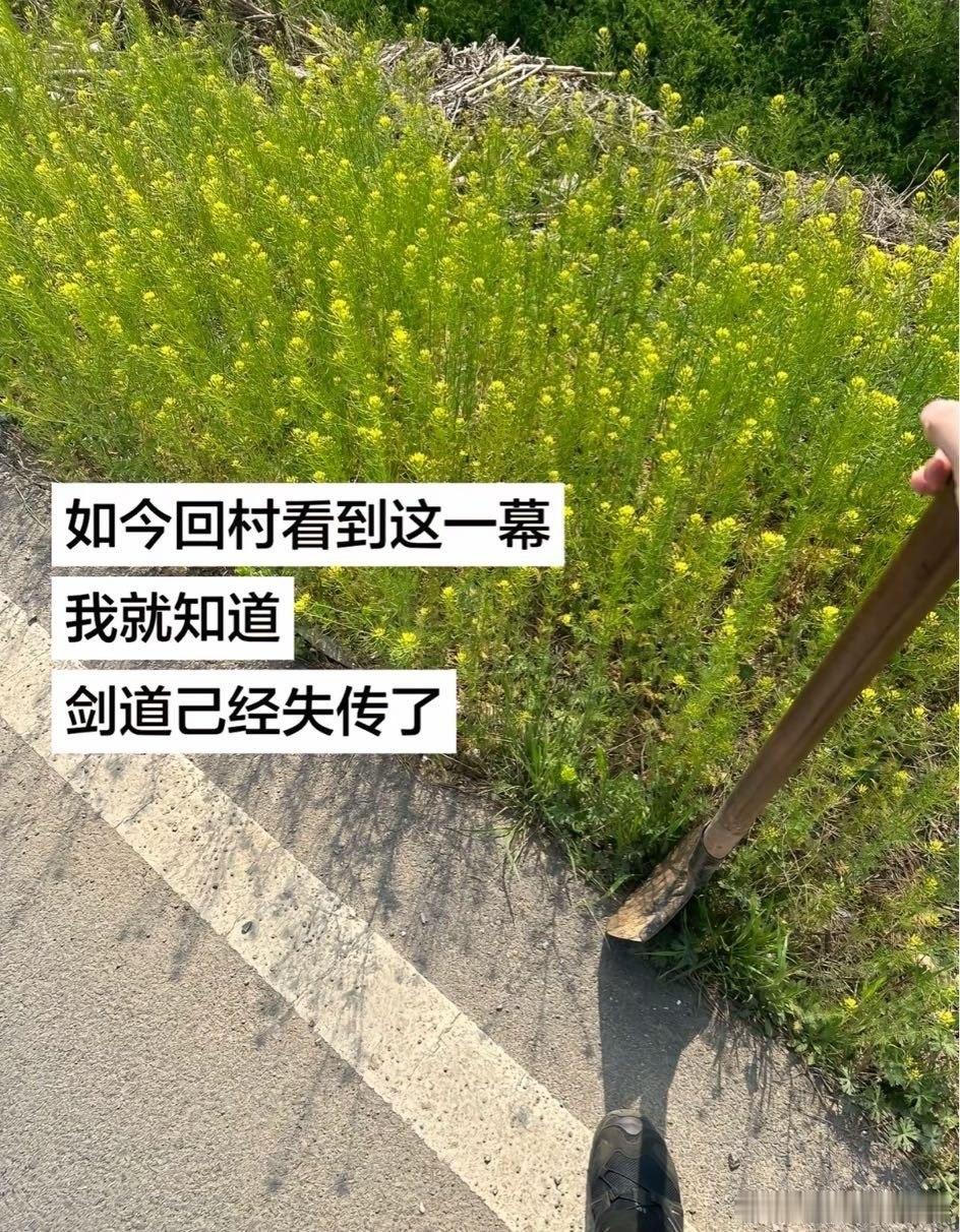 后继无人啊