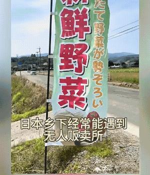 去日本的游客惊呼日本农村无人售卖，将其夸的天下无敌，可惜游客光顾着高兴了，没注意