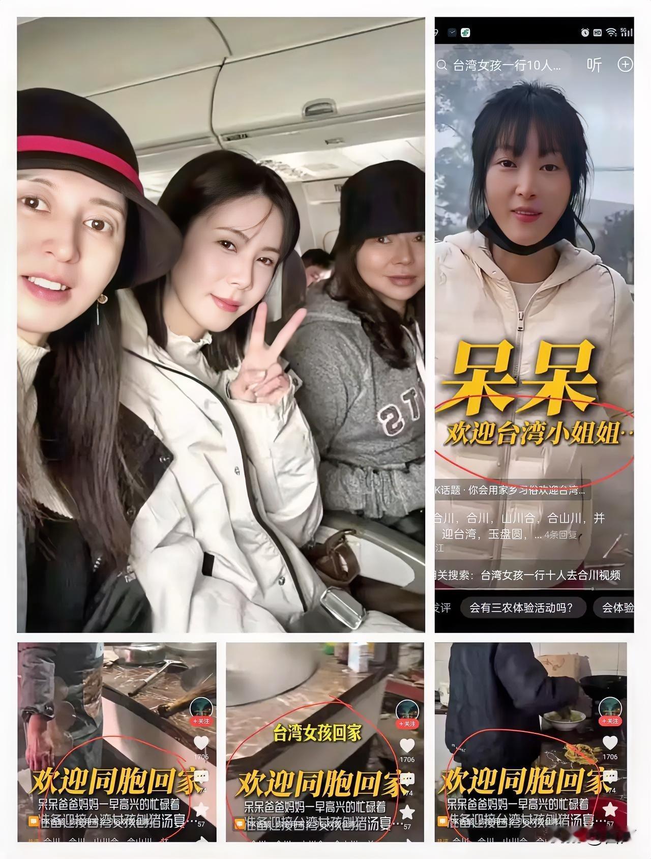 大家感觉到没呆呆今年可能要上春晚，不是因为她招待台湾同胞，也不是她带来年味，而