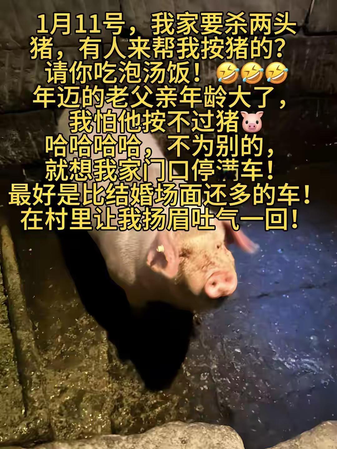 这是闯了多大的祸呀！收不了场了。重庆合川的农村女孩呆呆，因为11号家里要杀年