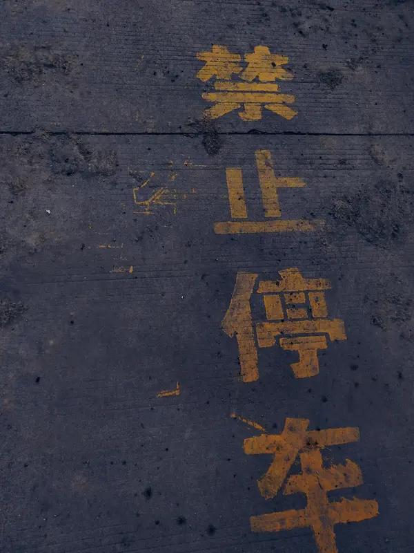 生肖牛想要成功，靠的从来不是什么天降好运的捷径，而是刻在骨子里的耐心和韧劲。别